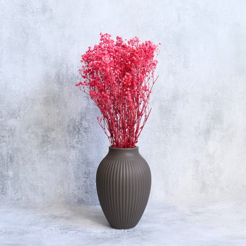 Tmavě růžová stabilizovaná gypsophila Nevěstin závoj – sušená květina pro svatby a dekorace